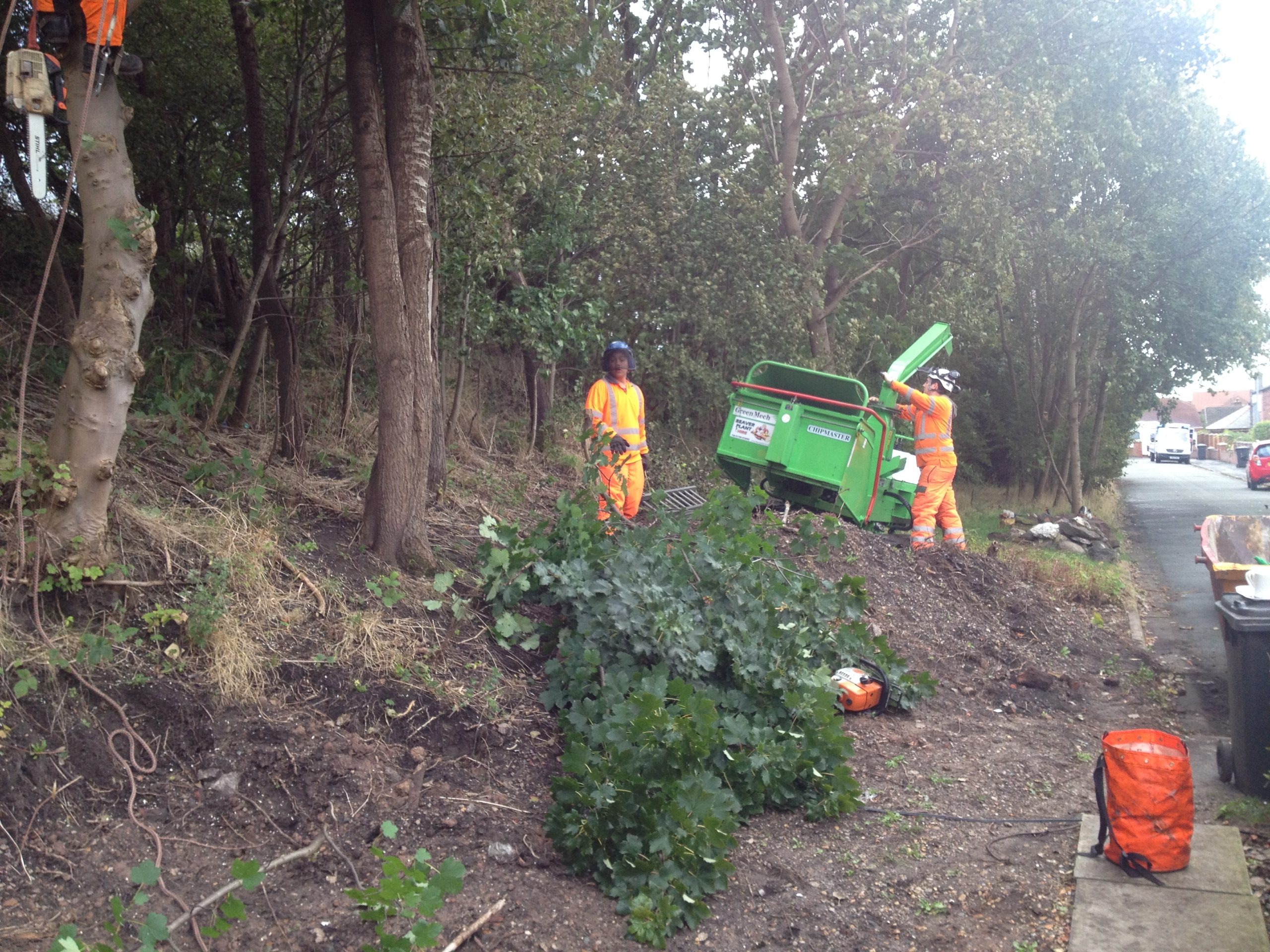 vegetation clearance – commercial tree cutting vegetation clearance - commercial tree cutting