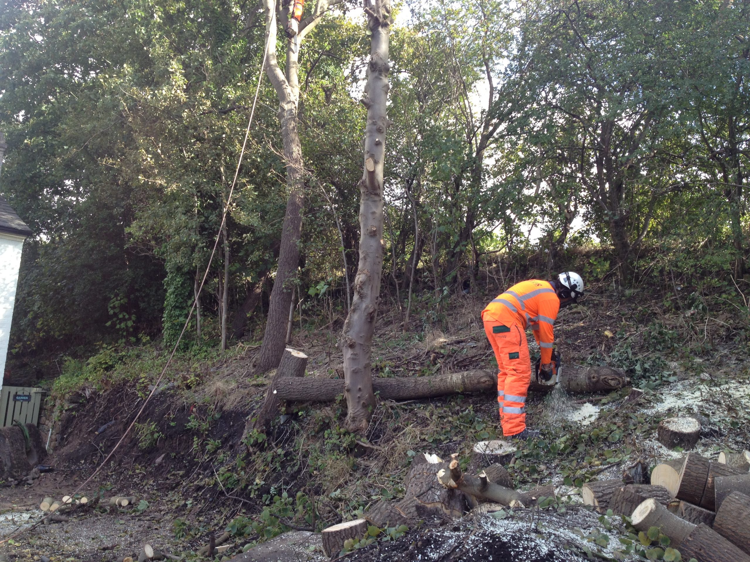 land clearance and vegetation management Tree Arborists
