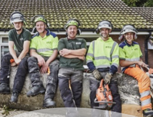 Land Clearance and Vegetation Management: Treetops De-Vegetation Services’ Approach to Site Preparation