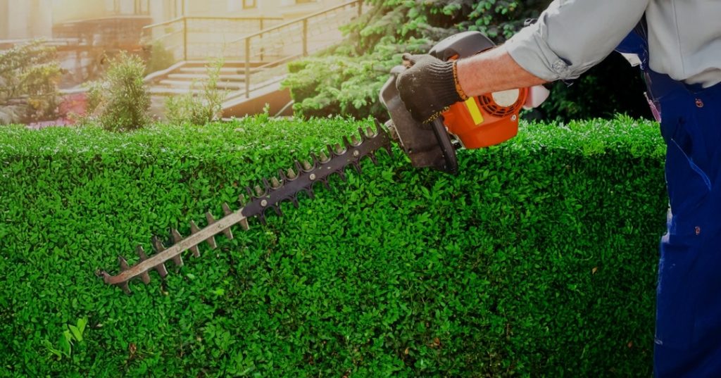Hedge trimming